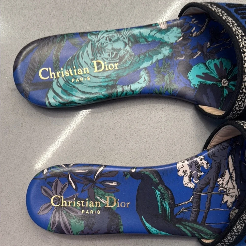 Dior Blue and Black Slide Sandals - Picture 2 of 4